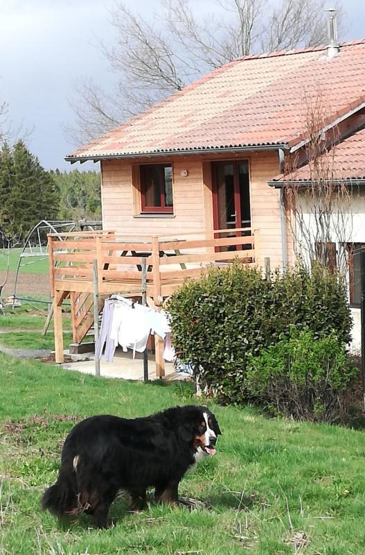 Gite La Ferme De Baffour La Chaise-Dieu Exterior photo